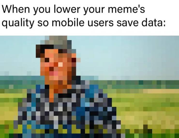 biome - When you lower your meme's quality so mobile users save data