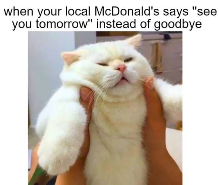my spirit animal funny - when your local McDonald's says "see you tomorrow" instead of goodbye
