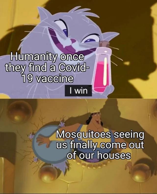 win meme emperor's new groove - Humanity once they find a Covid 19 vaccine I win Mosquitoes seeing us finally come out of our houses