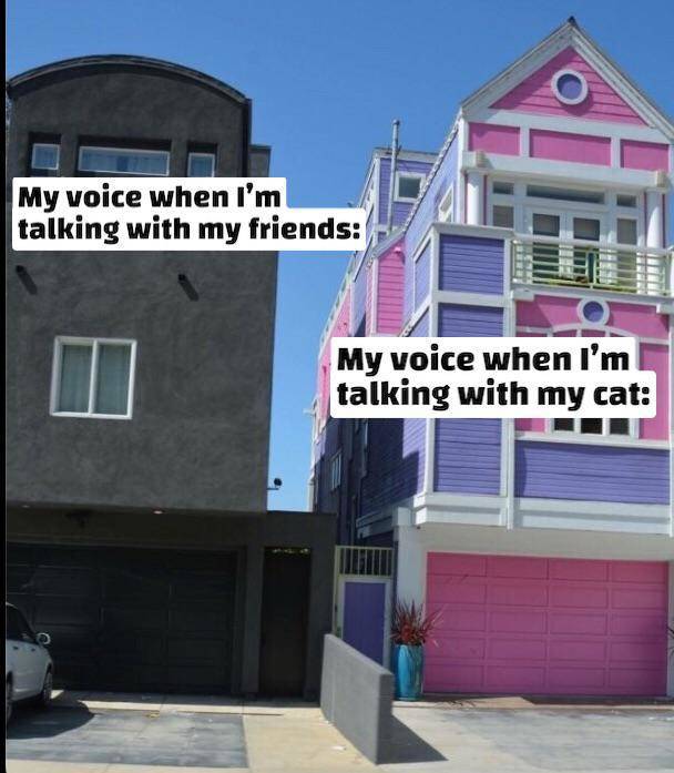 pink and black house meme - My voice when I'm talking with my friends My voice when I'm talking with my cat