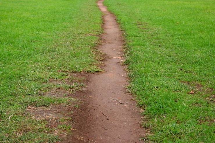 The lines or spaces that appear on the grass due to the erosion by human or animal footsteps are called desire paths.
