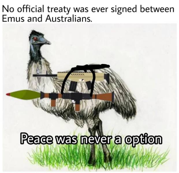 Emu War - No official treaty was ever signed between Emus and Australians. Peace was never a option Warni