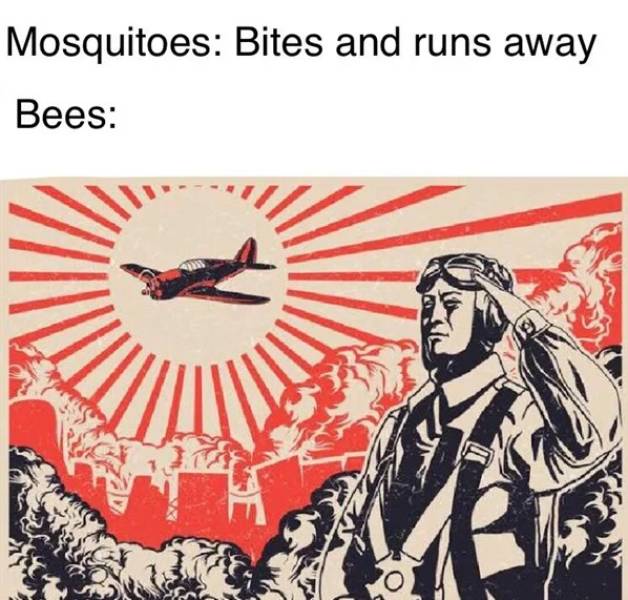 ww2 kamikaze - Mosquitoes Bites and runs away Bees