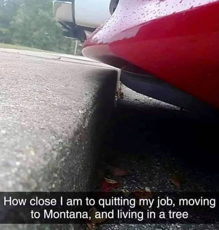 asphalt - How close I am to quitting my job, moving to Montana, and living in a tree