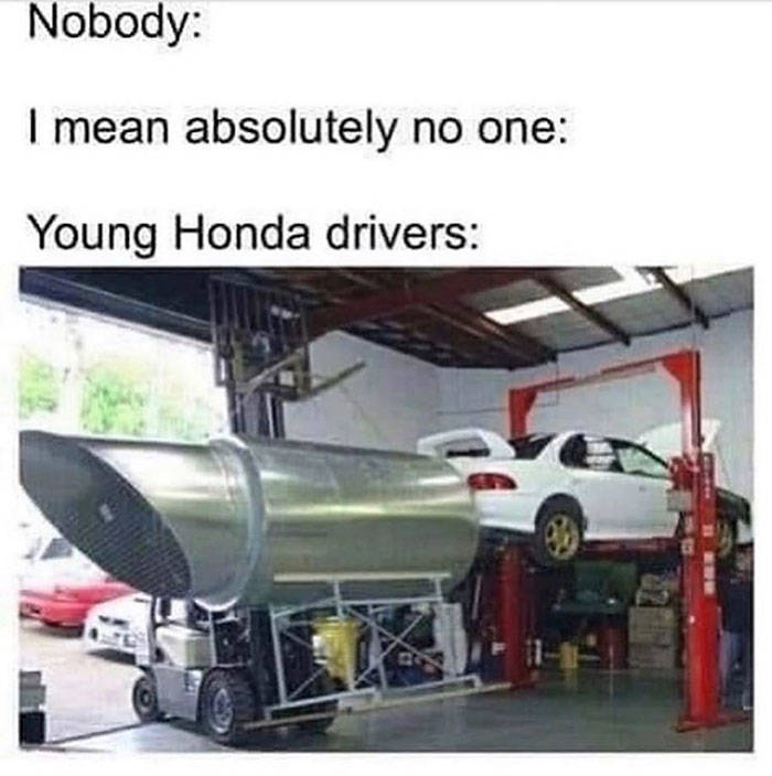 young honda drivers meme - Nobody I mean absolutely no one Young Honda drivers