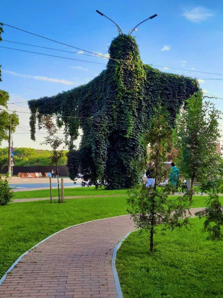 tree shaped like a giant moth