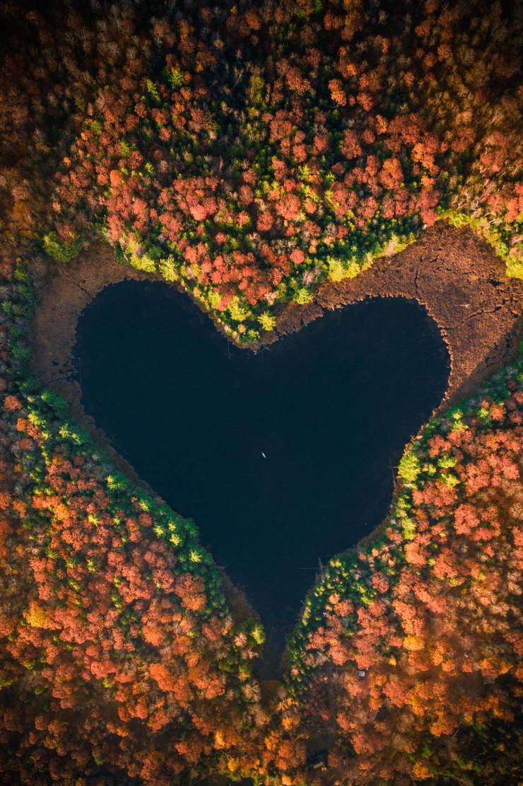heart shaped pond nature