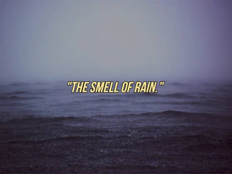 horizon - "The Smell Of Rain."