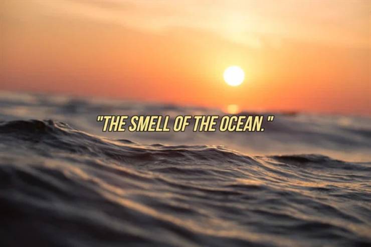sea to sea - "The Smell Of The Ocean."