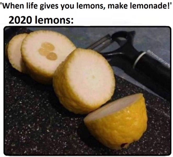 life gives you lemons meme - 'When life gives you lemons, make lemonade!' 2020 lemons chronicallycra