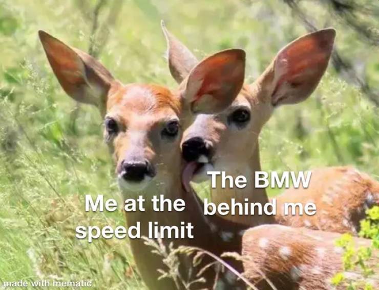 doe biden - The Bmw Me at the behind me speed limit made with mematic