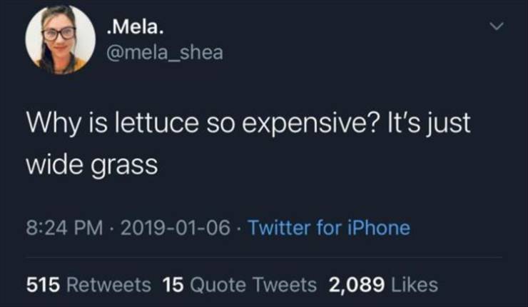presentation - .Mela. Why is lettuce so expensive? It's just wide grass Twitter for iPhone 515 15 Quote Tweets 2,089