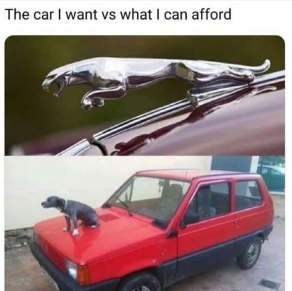 car i want vs car i can afford - The car I want vs what I can afford