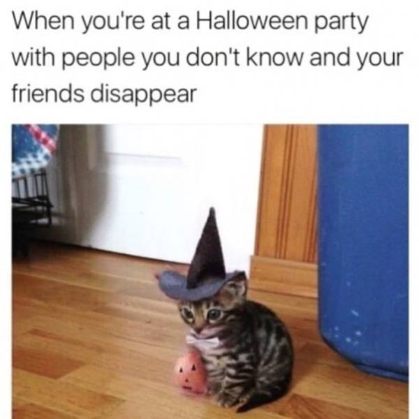 its spooky time cat - When you're at a Halloween party with people you don't know and your friends disappear