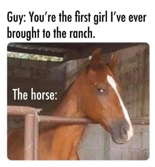 horse ketamine - Guy You're the first girl I've ever brought to the ranch. The horse