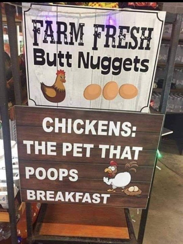 eggs called butt nuggets - Farm Fresh Butt Nuggets Oco Chickens The Pet That Poops Breakfast 6