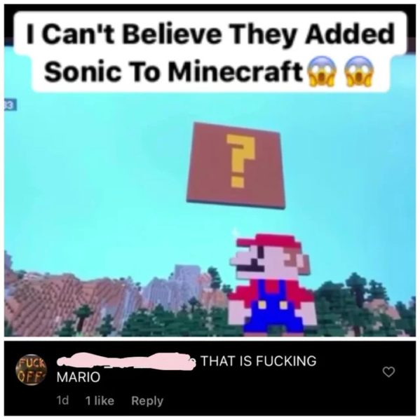 games - I Can't Believe They Added Sonic To Minecraft 3 ? That Is Fucking Fuck Off Mario 1d 1