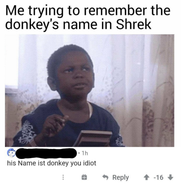 photo caption - Me trying to remember the donkey's name in Shrek 1h his Name ist donkey you idiot 16