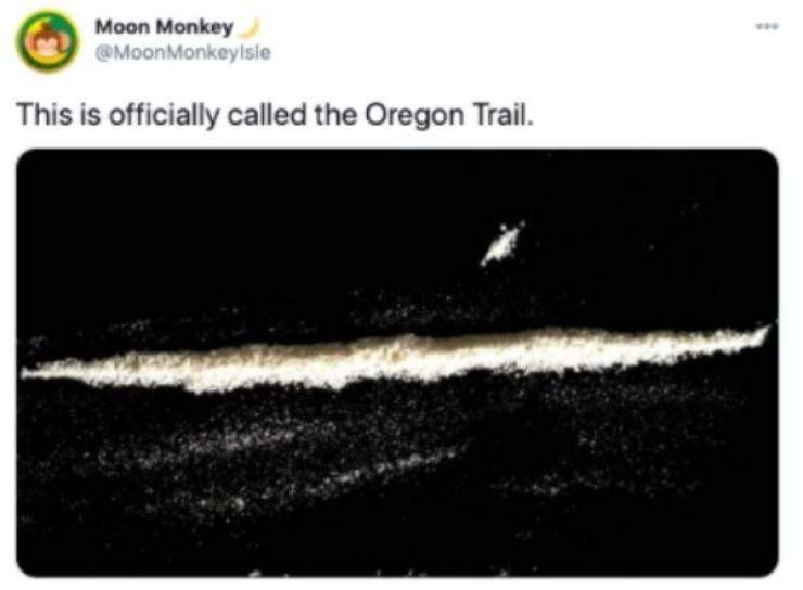 sky - Moon Monkey Monkeylsle This is officially called the Oregon Trail.