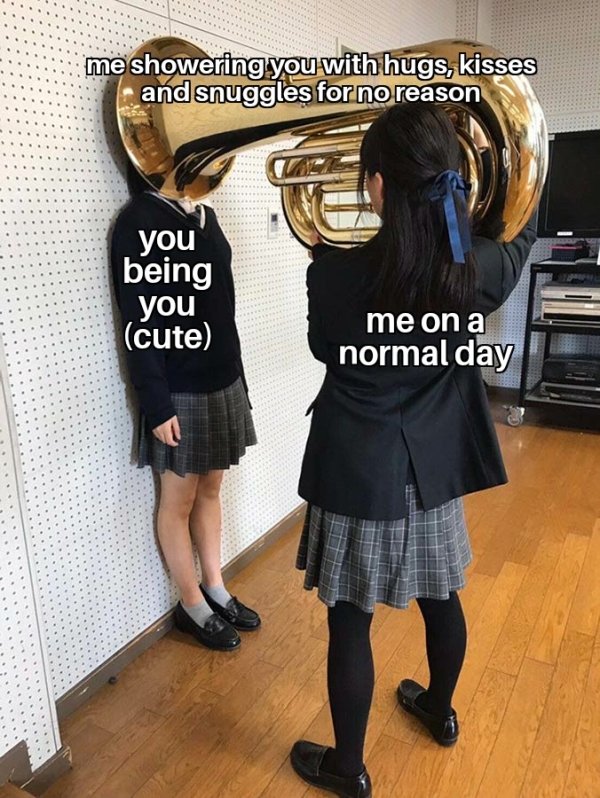 bloomberg tuba meme - me showering you with hugs, kisses and snuggles for no reason you being you cute me on a a normal day