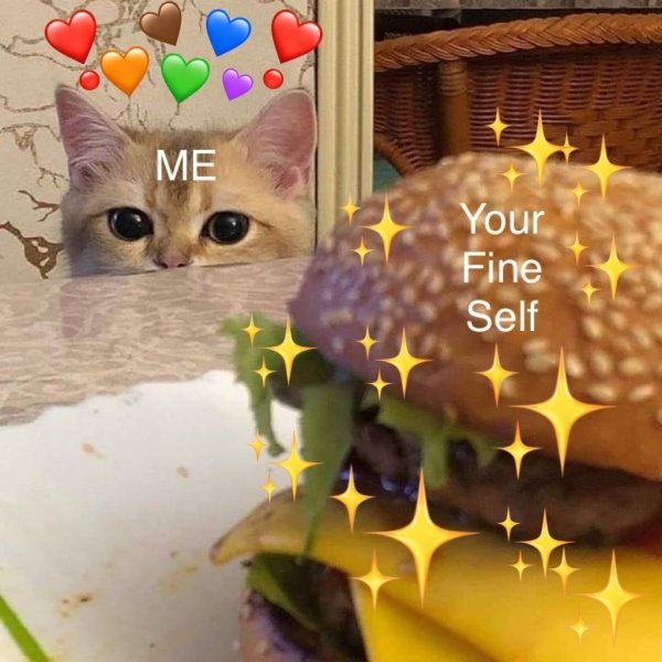 cat looking at burger - Me Your Fine Self