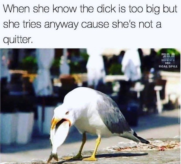 When she know the dick is too big but she tries anyway cause she's not a quitter Mr Real Spill