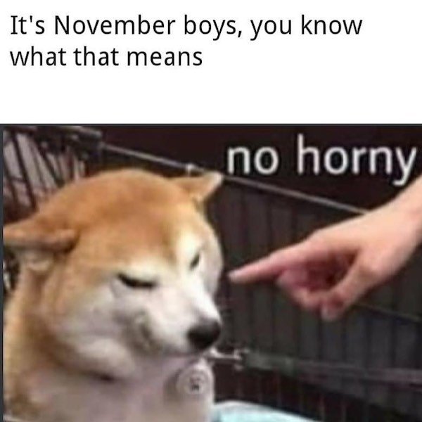 no horny meme - It's November boys, you know what that means no horny