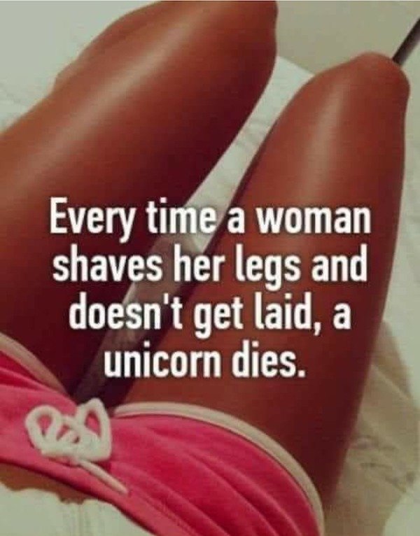 love - Every time a woman shaves her legs and doesn't get laid, a unicorn dies.