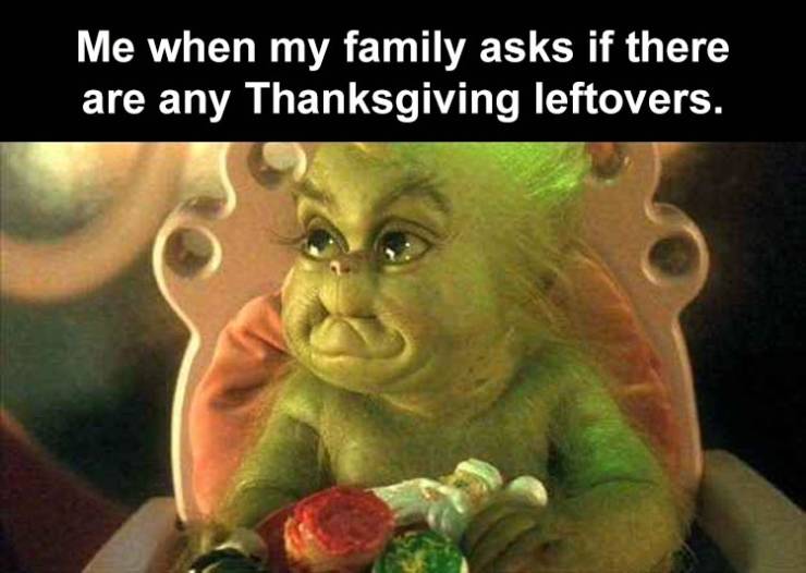 baby grinch - Me when my family asks if there are any Thanksgiving leftovers.