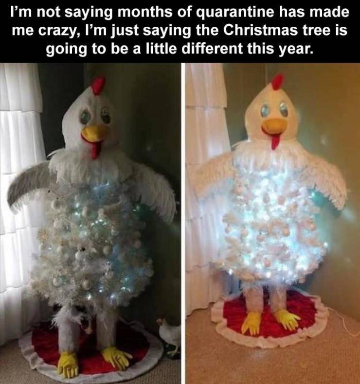 dish perks - I'm not saying months of quarantine has made me crazy, I'm just saying the Christmas tree is going to be a little different this year.