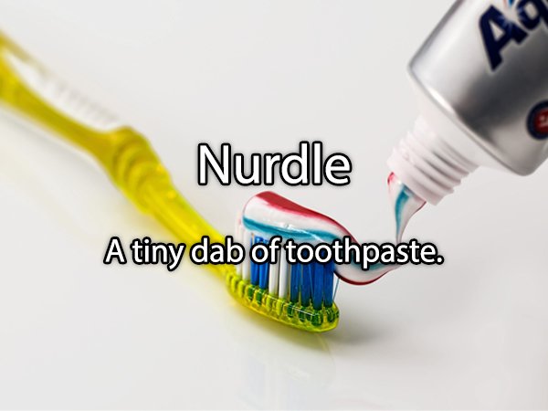 A Nurdle A tiny dab of toothpaste.