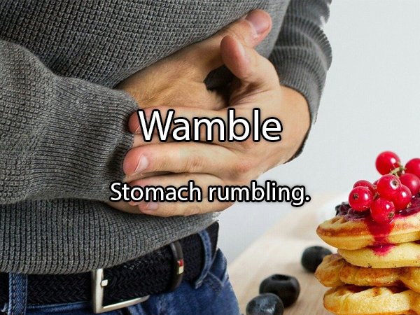 Digestion - Wamble Stomach rumbling