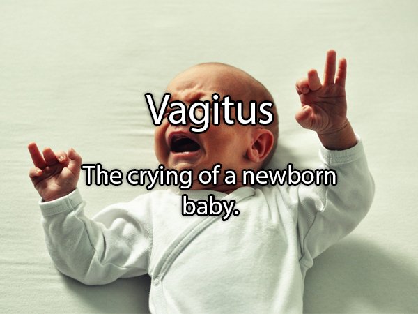 baby craying - Vagitus The crying of a newborn baby