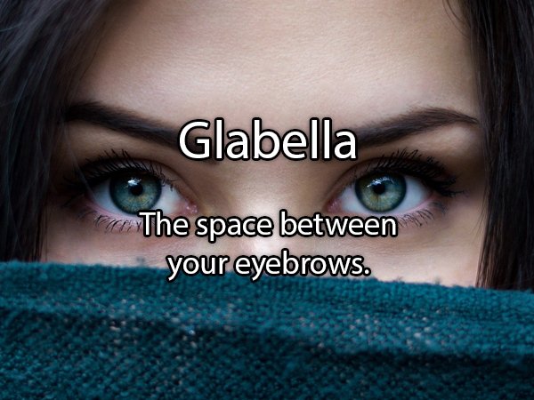 do eyes and eyebrows - Glabella a The space between your eyebrows