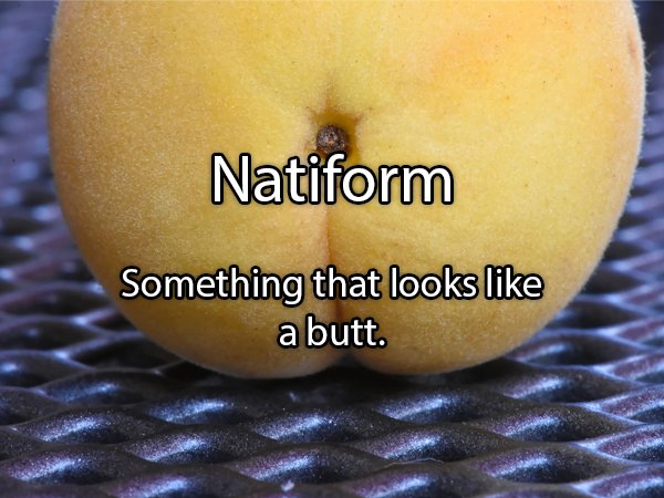 apple - Natiform Something that looks a butt.