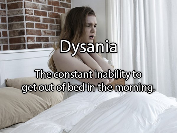 mattress - Dysania The constant inability to get out of bed in the morning.