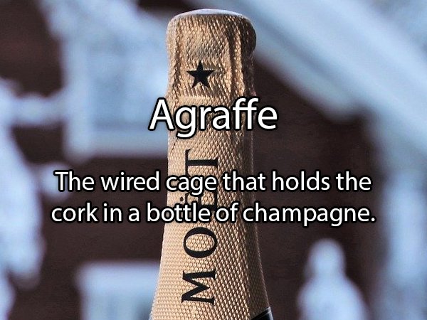 internet marketing 2.0 - Agraffe The wired cage that holds the cork in a bottle of champagne. W