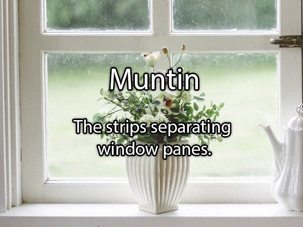 sentimientos - Muntin The strips separating window panes.