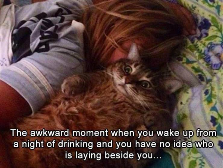 The awkward moment when you wake up from a night of drinking and you have no idea who is laying beside you...