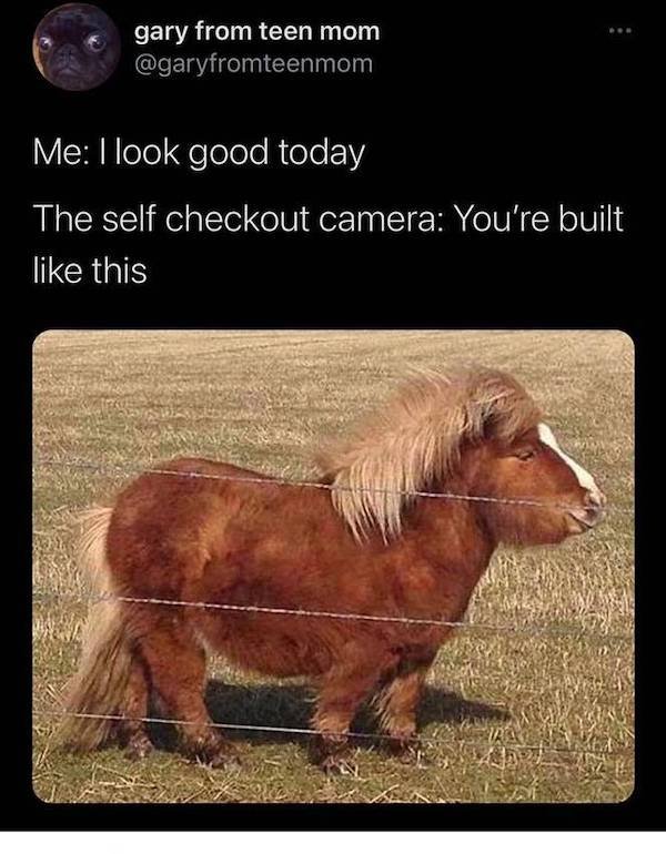 majestic animals memes - gary from teen mom Me I look good today The self checkout camera You're built this