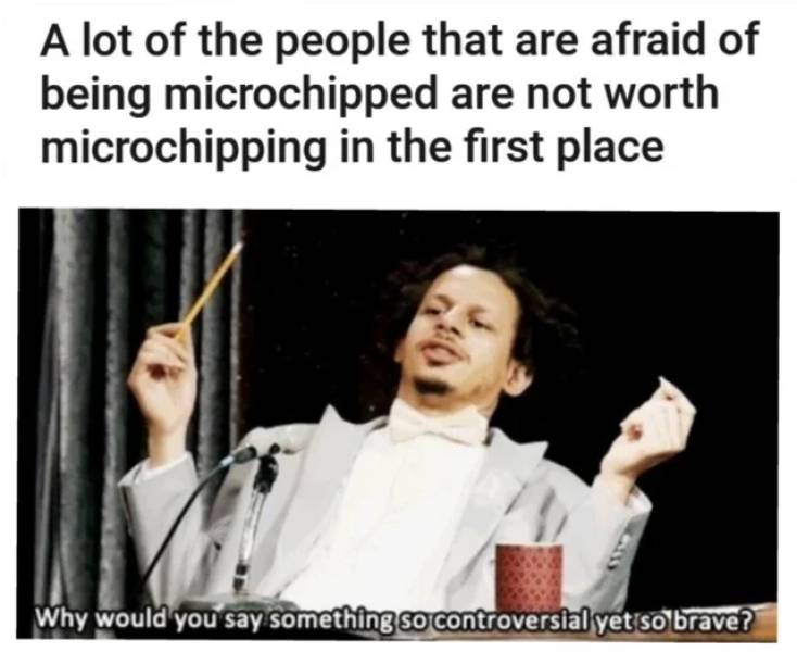 depression memes - A lot of the people that are afraid of being microchipped are not worth microchipping in the first place Why would you say something so controversial yet so brave?