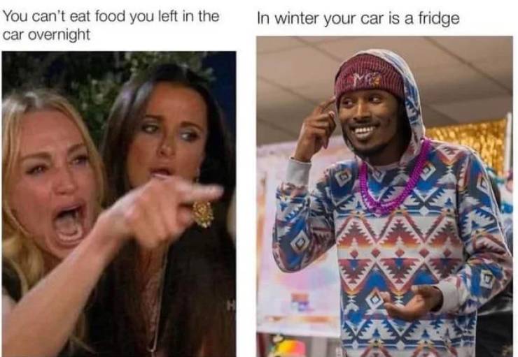frauen katze meme - You can't eat food you left in the car overnight In winter your car is a fridge H