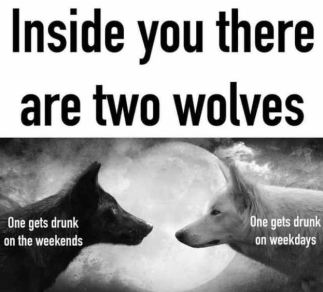 photo caption - Inside you there are two wolves One gets drunk on the weekends One gets drunk on weekdays