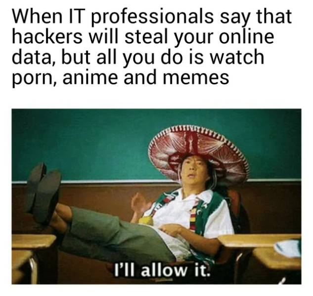 ill allow it meme - When It professionals say that hackers will steal your online data, but all you do is watch porn, anime and memes I'll allow it.