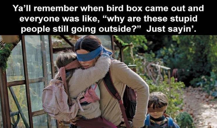 bird box movie - Ya'll remember when bird box came out and everyone was , "why are these stupid people still going outside? Just sayin'.