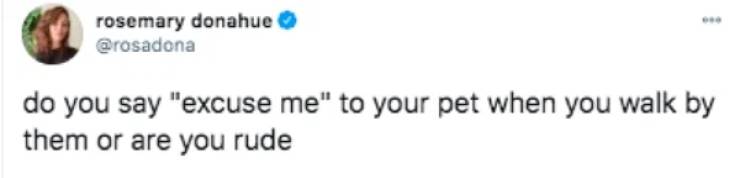 paper - rosemary donahue do you say "excuse me" to your pet when you walk by them or are you rude