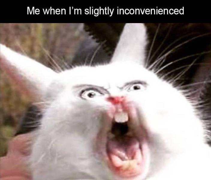 funny sneeze memes - Me when I'm slightly inconvenienced