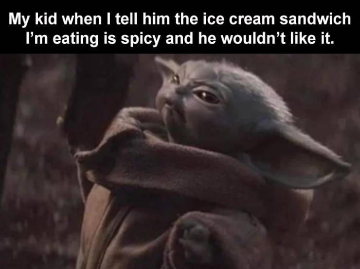 baby yoda meme - My kid when I tell him the ice cream sandwich I'm eating is spicy and he wouldn't it.