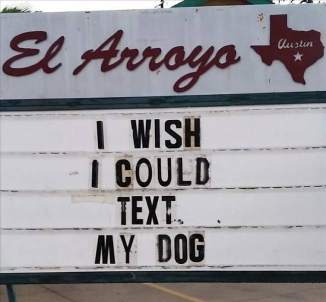 street sign - Austen El Arroyo I Wish I Could Text My Dog