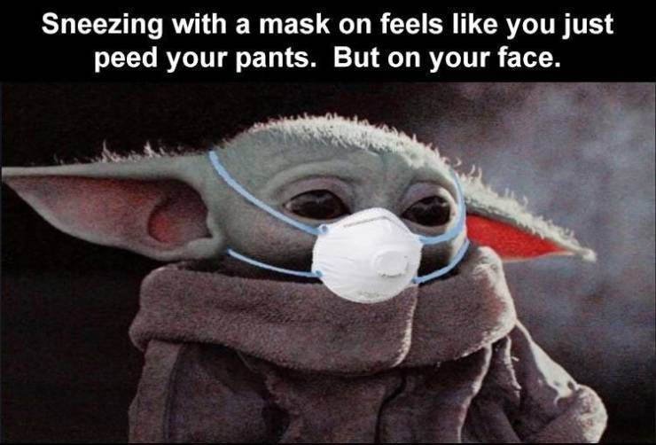 sheep wearing masks meme - Sneezing with a mask on feels you just peed your pants. But on your face.